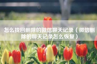 怎么找回删除的微信聊天记录（微信删除的聊天记录怎么恢复）