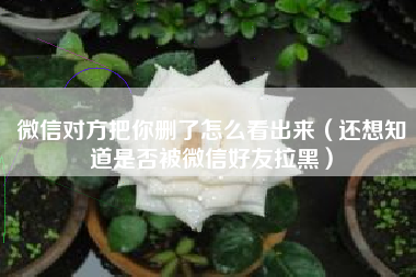 微信对方把你删了怎么看出来（还想知道是否被微信好友拉黑）