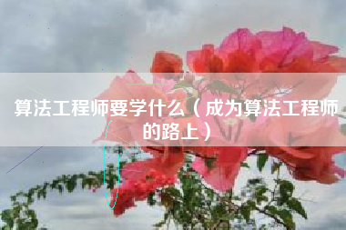 算法工程师要学什么（成为算法工程师的路上）