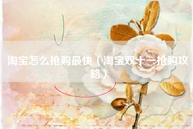 淘宝怎么抢购最快（淘宝双十一抢购攻略）