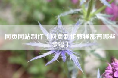 网页网站制作（网页制作教程都有哪些步骤）