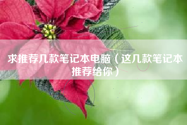 求推荐几款笔记本电脑（这几款笔记本推荐给你）