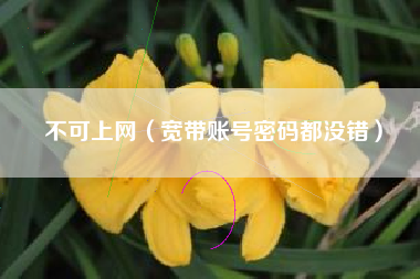 不可上网（宽带账号密码都没错）