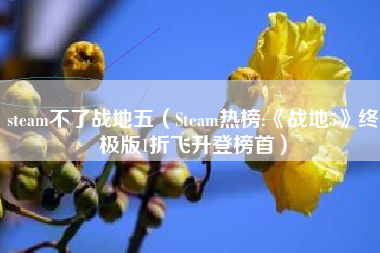 steam不了战地五（Steam热榜:《战地5》终极版1折飞升登榜首）