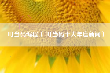 叮当码编程（ 叮当码十大年度新闻）