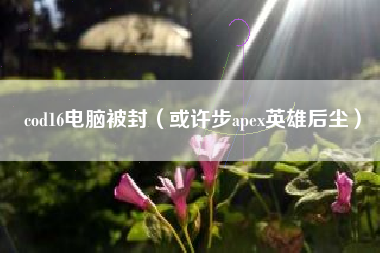 cod16电脑被封（或许步apex英雄后尘）