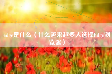 edge是什么（什么越来越多人选择Edge浏览器）