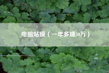 电脑贴膜（一年多赚30万）