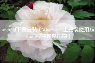 android下载安装（Windows 11上安装使用Android程序完整指南）