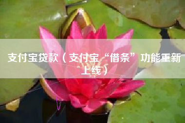 支付宝贷款（支付宝“借条”功能重新上线）
