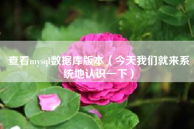 查看mysql数据库版本（今天我们就来系统地认识一下）