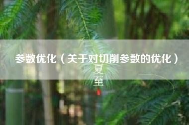 参数优化（关于对切削参数的优化）