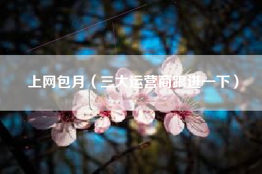 上网包月（三大运营商跟进一下）