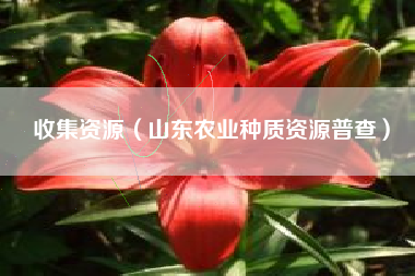 收集资源（山东农业种质资源普查）