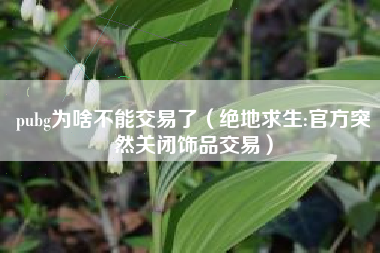 pubg为啥不能交易了（绝地求生:官方突然关闭饰品交易）