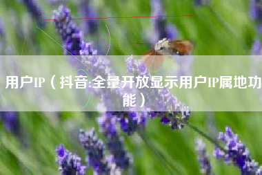 用户IP（抖音:全量开放显示用户IP属地功能）