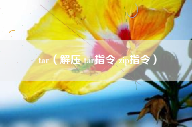 tar（解压 tar指令 zip指令）