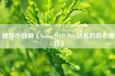 迷你小音响（Sanag M13S Pro:送礼的良心推荐）