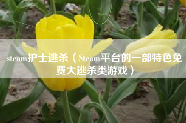 steam护士逃杀（Steam平台的一部特色免费大逃杀类游戏）