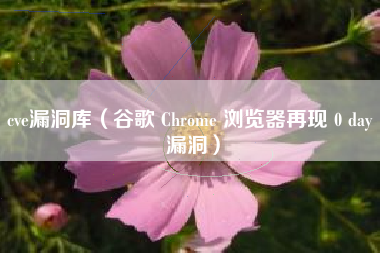 cve漏洞库（谷歌 Chrome 浏览器再现 0 day 漏洞）