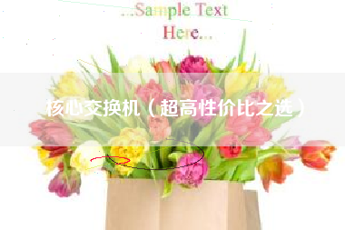 核心交换机（超高性价比之选）