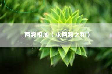 两数相加（求两数之和）