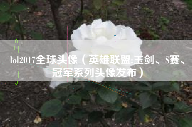 lol2017全球头像（英雄联盟:玉剑、S赛、冠军系列头像发布）