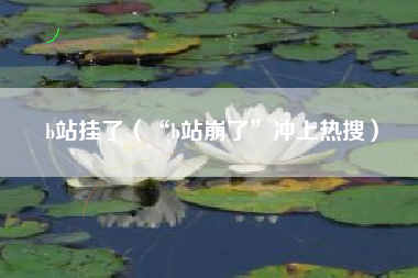 b站挂了（“b站崩了”冲上热搜）