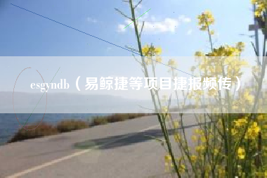 esgyndb（易鲸捷等项目捷报频传）