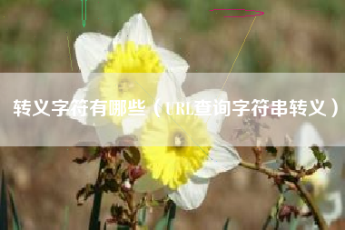 转义字符有哪些（URL查询字符串转义）