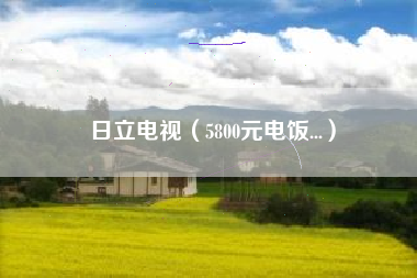 日立电视（5800元电饭...）