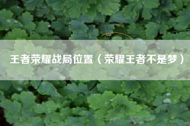 王者荣耀战局位置（荣耀王者不是梦）