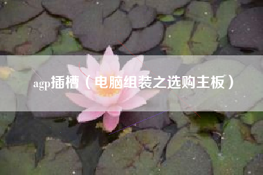 agp插槽（电脑组装之选购主板）