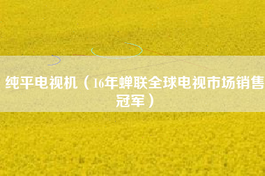 纯平电视机（16年蝉联全球电视市场销售冠军）
