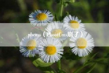 pbcms（PbootCms崩了）