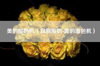 美的酸奶机（自制酸奶-美的面包机）