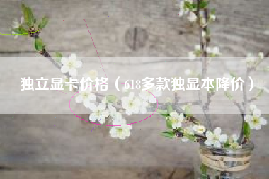 独立显卡价格（618多款独显本降价）