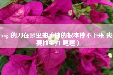 csgo的刀在哪里抽（抽的根本停不下来 我要抽金刀 嘿嘿）
