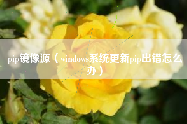 pip镜像源（windows系统更新pip出错怎么办）