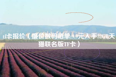 tf卡报价（廉价数码晒单:9.9元入手32GB天猫联名版TF卡）