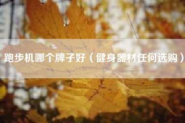 跑步机哪个牌子好（健身器材任何选购）