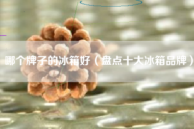 哪个牌子的冰箱好（盘点十大冰箱品牌）