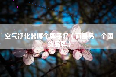 空气净化器哪个牌子好（而是另一个国货品牌）