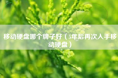 移动硬盘哪个牌子好（5年后再次入手移动硬盘）