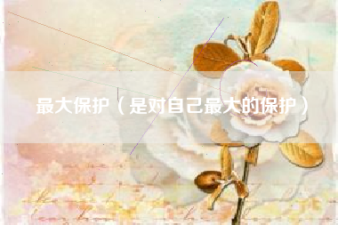 最大保护（是对自己最大的保护）