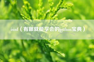 isinf（有眼就能学会的python宝典）