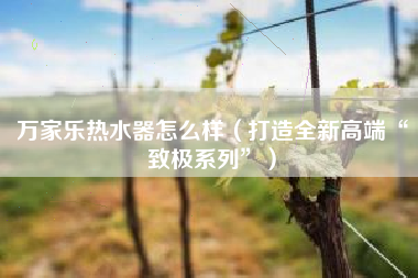 万家乐热水器怎么样（打造全新高端“致极系列”）