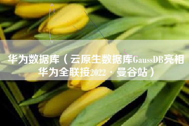 华为数据库（云原生数据库GaussDB亮相华为全联接2022·曼谷站）