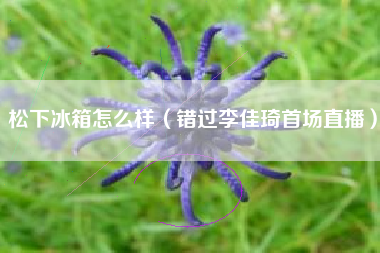 松下冰箱怎么样（错过李佳琦首场直播）