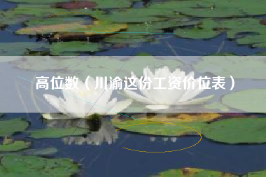 高位数（川渝这份工资价位表）